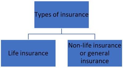 types of life insurance
